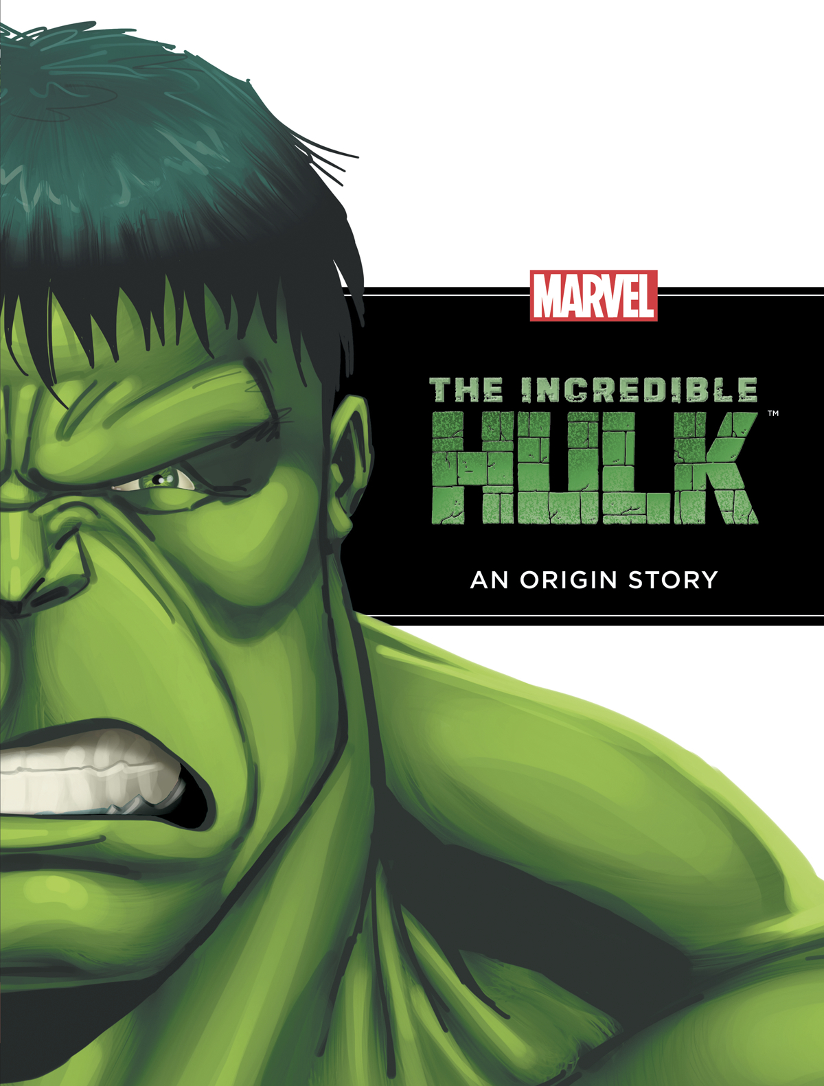 AUG111117 - INCREDIBLE HULK ORIGIN STORY YR HC - Kids Comics